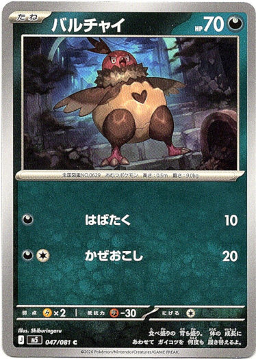 画像1: バルチャイ