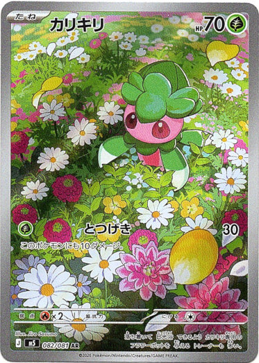 画像1: ※傷有り品（返品交換対象外）【AR】カリキリ