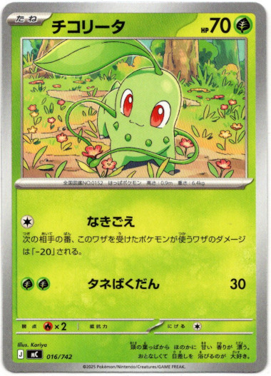 画像1: チコリータ