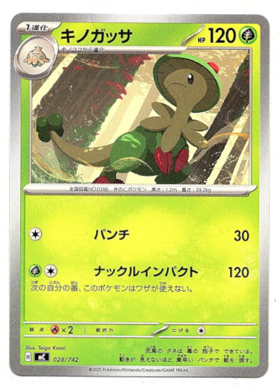 画像1: キノガッサ