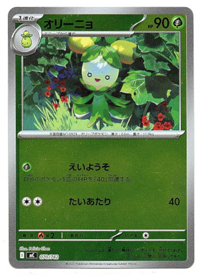 画像1: 【ミラー】オリーニョ