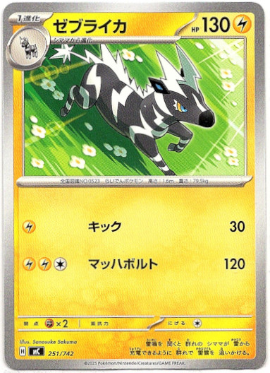 画像1: ゼブライカ