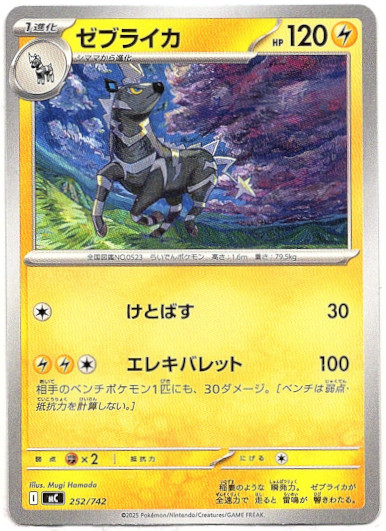 画像1: ゼブライカ