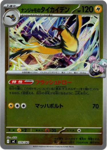 画像1: 【ミラー】ナンジャモのタイカイデン