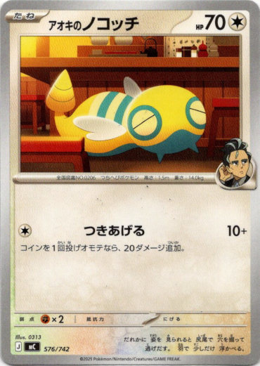 画像1: アオキのノコッチ