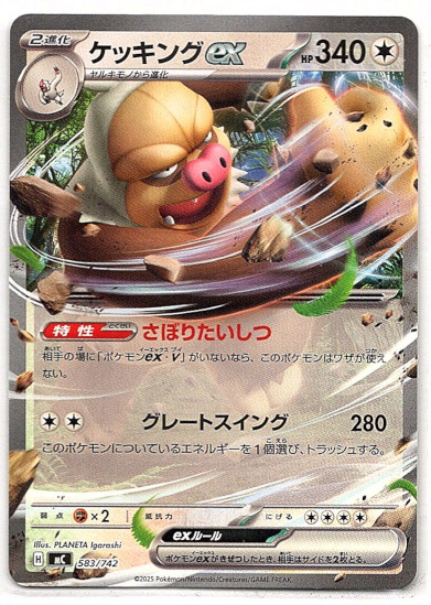 画像1: ケッキングex