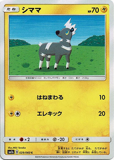 画像1: シママ