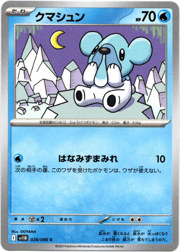 画像1: クマシュン