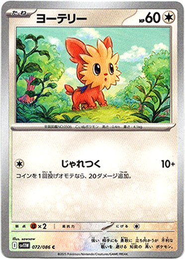 画像1: ヨーテリー