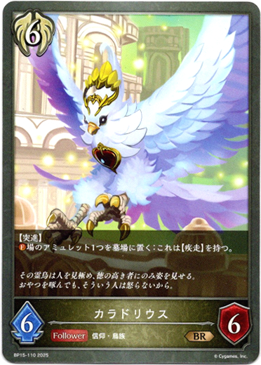 画像1: カラドリウス