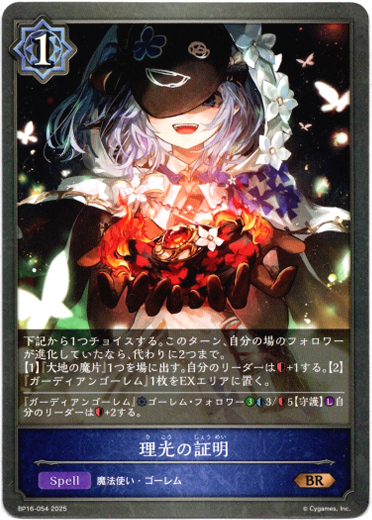 画像1: 理光の証明