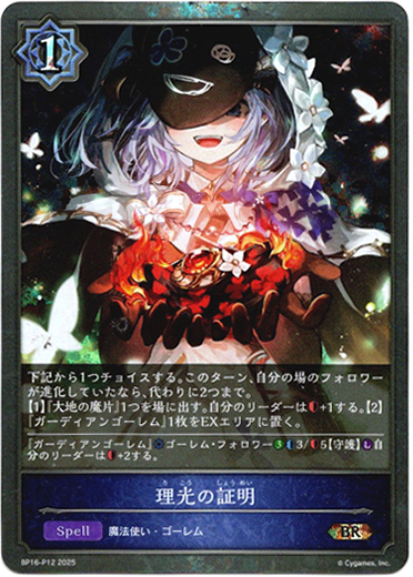 画像1: 【プレミアム】理光の証明