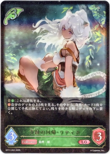 画像1: 万緑の回帰・ラティカ