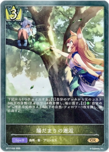 画像1: 陽だまりの邂逅