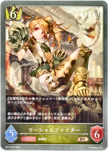 画像1: マーシャルファイター