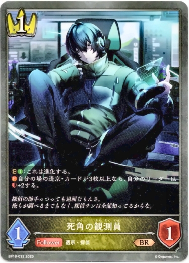 画像1: 死角の観測員