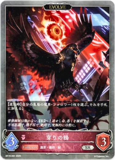 画像1: 【EVOLVE】穿りの鴉