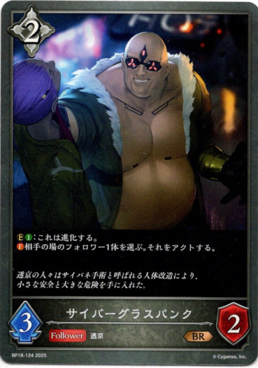 画像1: サイバーグラスパンク