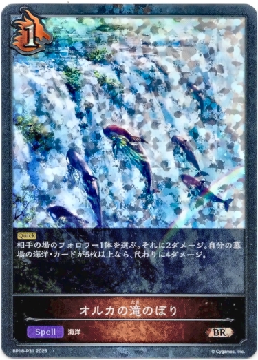 画像1: 【プレミアム】オルカの滝のぼり