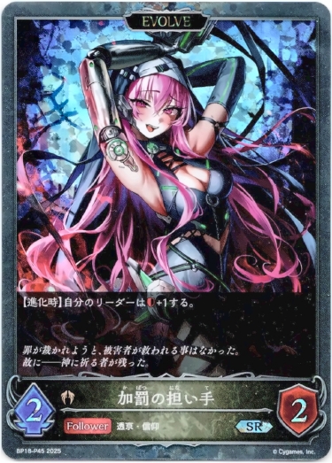 画像1: 【プレミアム】【EVOLVE】加罰の担い手