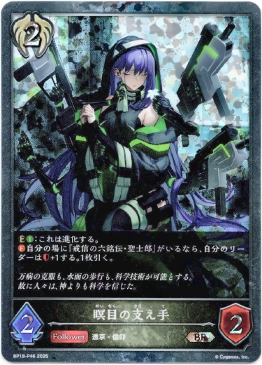 画像1: 【プレミアム】瞑目の支え手