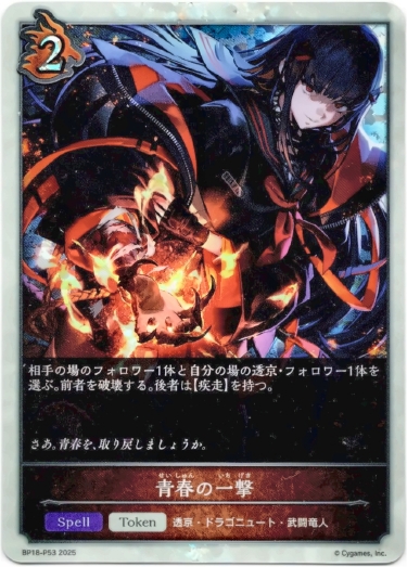 画像1: 【プレミアム】青春の一撃