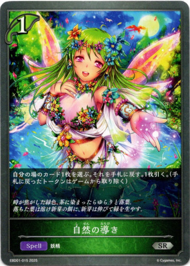 画像1: 自然の導き