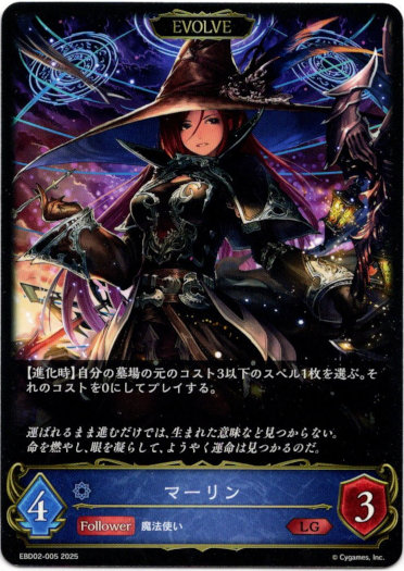 画像1: 【EVOLVE】マーリン