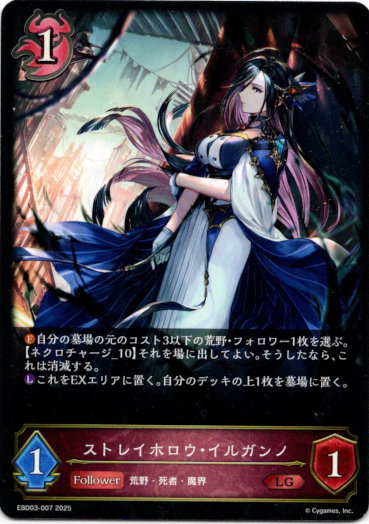 画像1: ストレイホロウ・イルガンノ