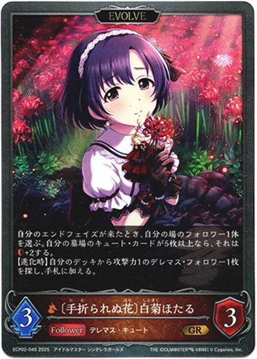 画像1: 【EVOLVE】〔手折られぬ花〕白菊ほたる