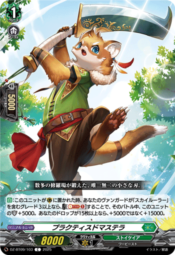 画像1: プラクティスドマステラ